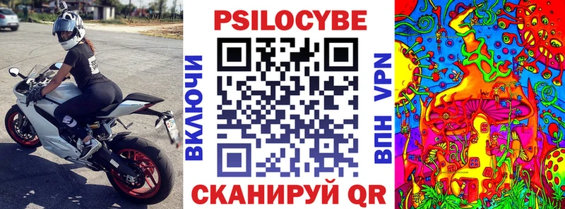 сколько стоит  Нерюнгри  omg зеркало  Псилоцибиновые грибы прущие грибы 